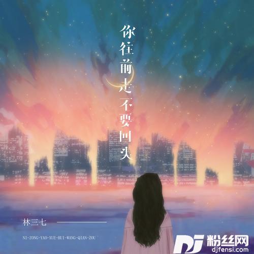 你往前走不要回头你总要学会往前走