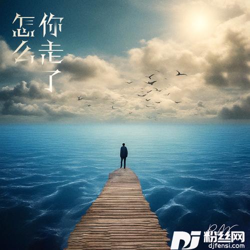 怎么你走了的专辑