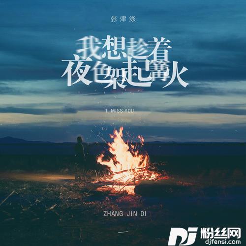 我想趁着夜色架起篝火的专辑图片