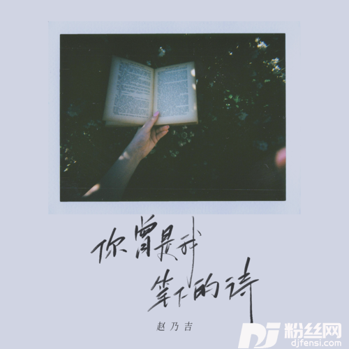 你曾是我笔下的诗