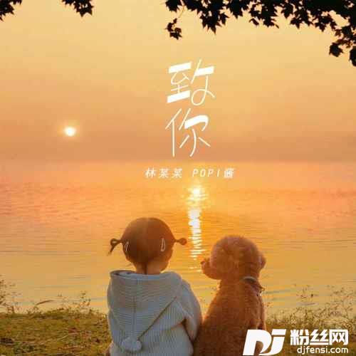 致你的专辑
