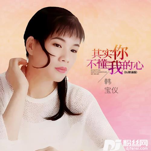 其实你不懂我的心DJ默涵版