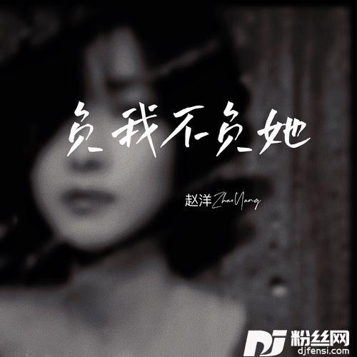 负我不负她的专辑图片