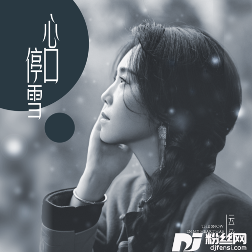 心口停雪的专辑