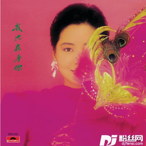我只在乎你的专辑