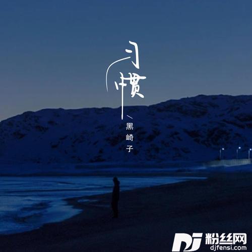 习惯的专辑