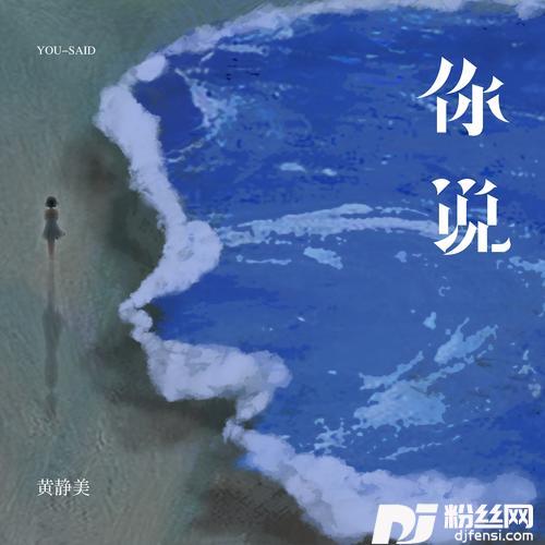 你说的专辑