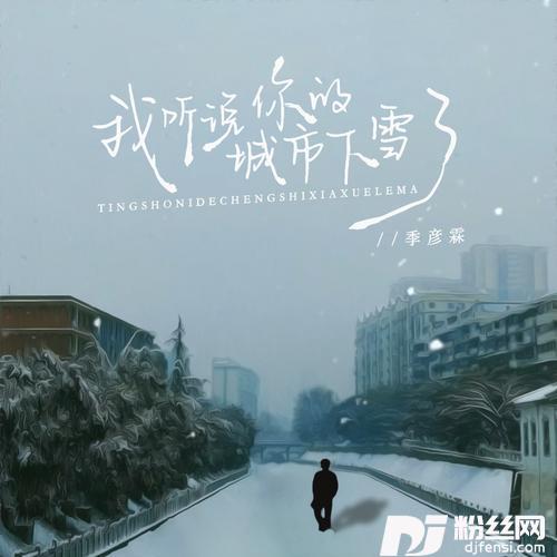 我听说你的城市下雪了的专辑图片