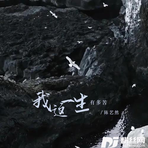 我这一生有多苦