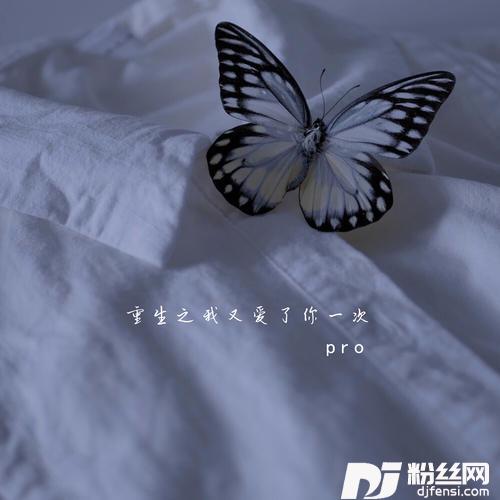 重生之我又爱了你一次
