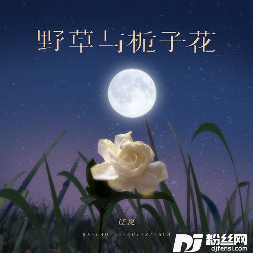野草与栀子花的专辑图片