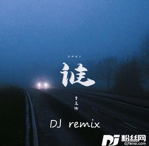 谁dj阿衡remix的专辑图片