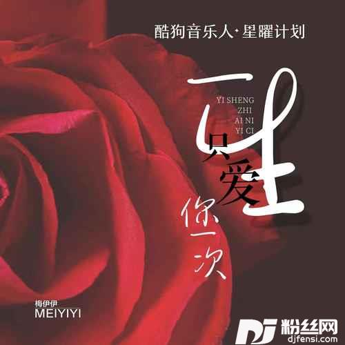 一生只爱你一次的专辑图片