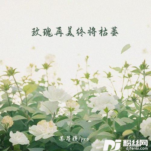 玫瑰再美终将枯萎的专辑