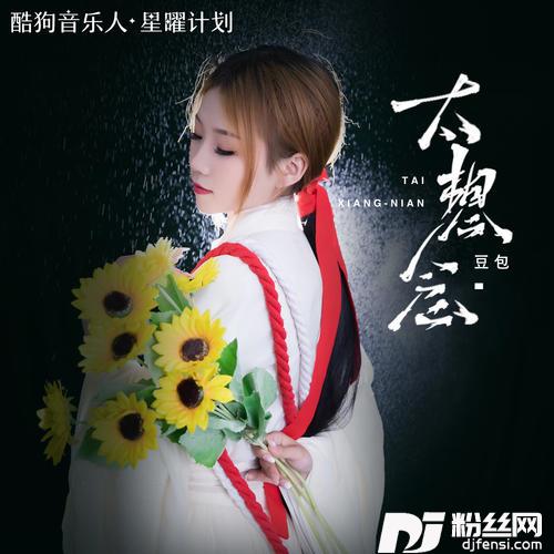 太想念DJ阿卓版的专辑图片