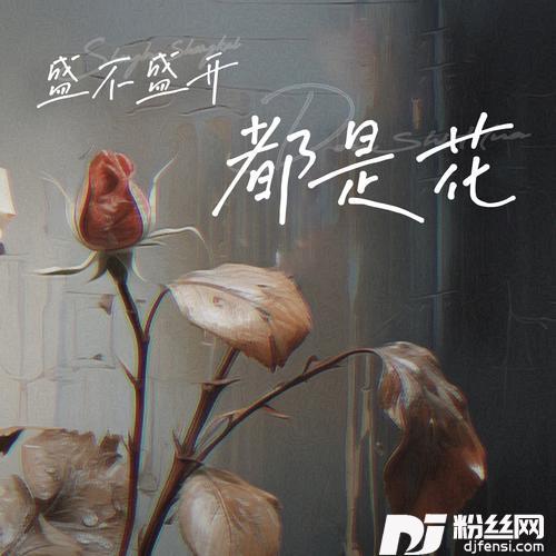 盛不盛开都是花的专辑