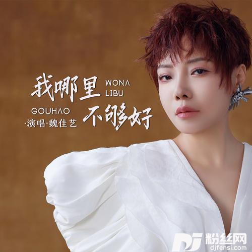 我哪里不够好的专辑