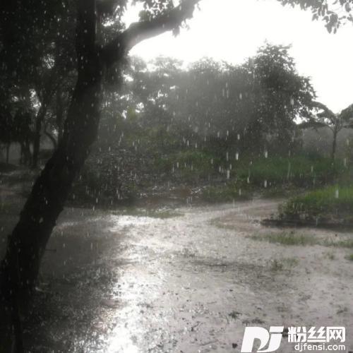 海誓山盟的专辑