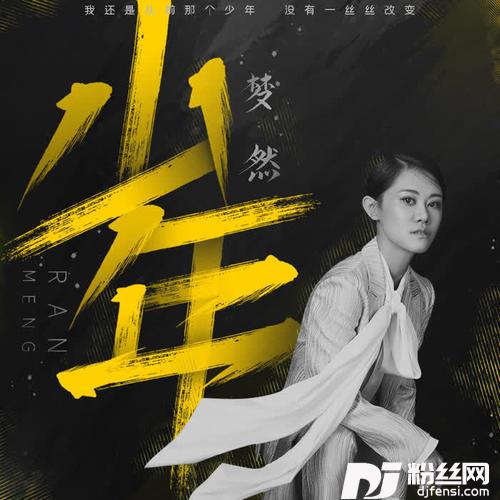 少年的专辑