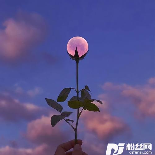 下雨天cover:南拳妈妈
