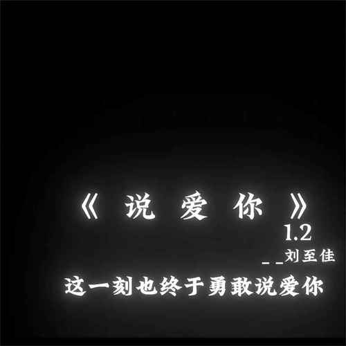 说爱你1.2X的专辑
