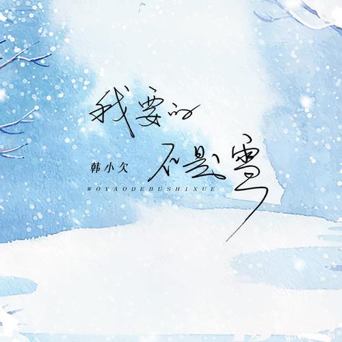 我要的不是雪的专辑图片