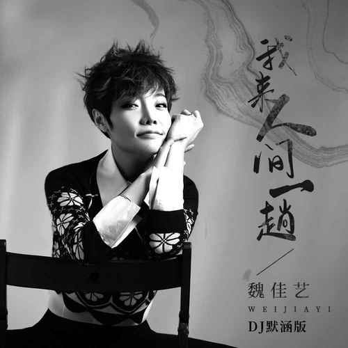 我来人间一趟DJ默涵版的专辑