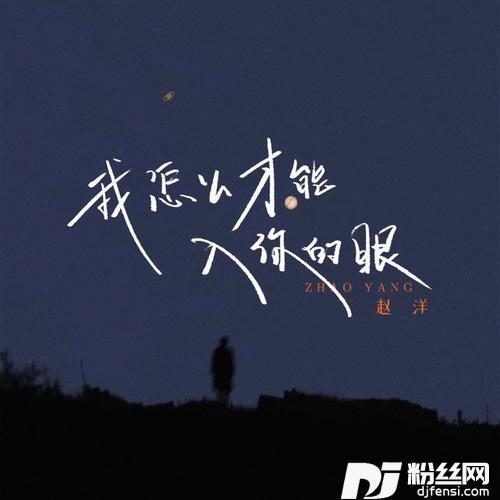 我怎么才能入你的眼的专辑图片