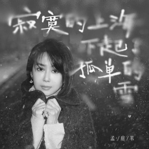 寂寞的上海下起了孤单的雪的专辑图片
