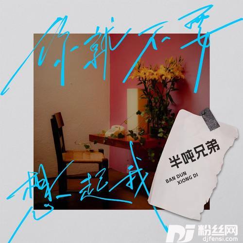 你就不要想起我的专辑