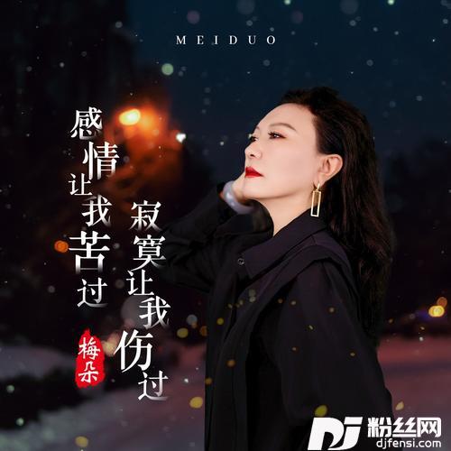 感情让我苦过寂寞让我伤过