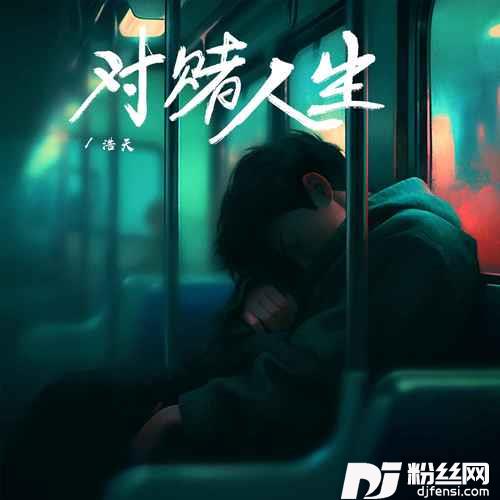 对赌人生的专辑