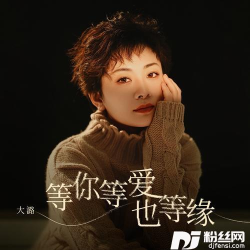 等你等爱也等缘DJ默涵版的专辑