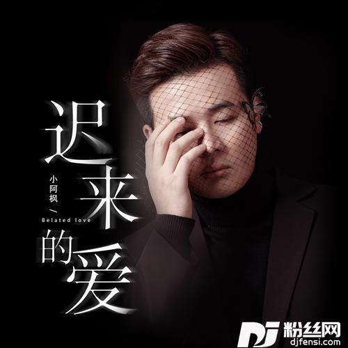 迟来的爱的专辑图片