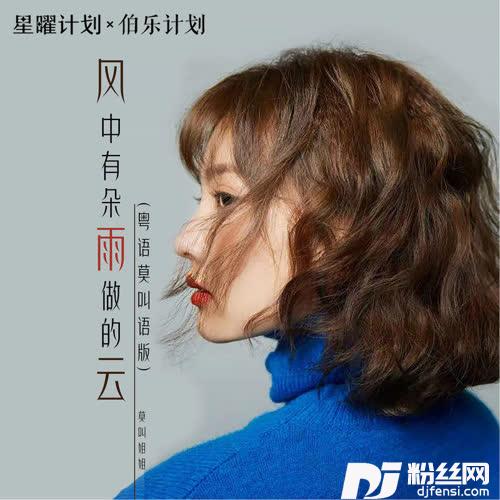 风中有朵雨做的云DJheap九天版的专辑