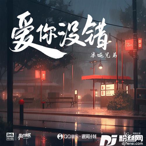 爱你没错的专辑