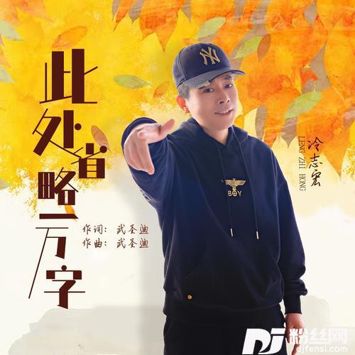 此处省略一万字DJ沈念版的专辑