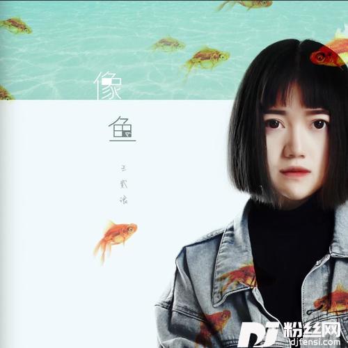 像鱼的专辑