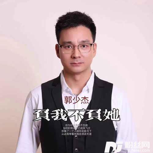 负我不负她的专辑