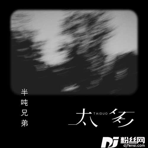 太多的专辑