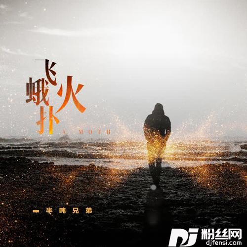 飞蛾扑火正式版的专辑