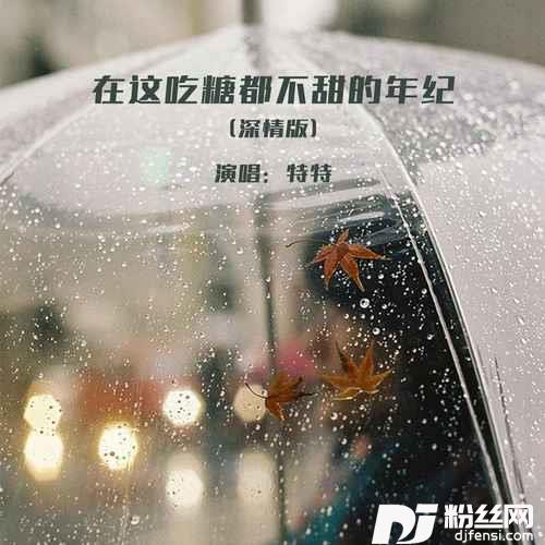 在这吃糖都不甜的年纪深情版的专辑