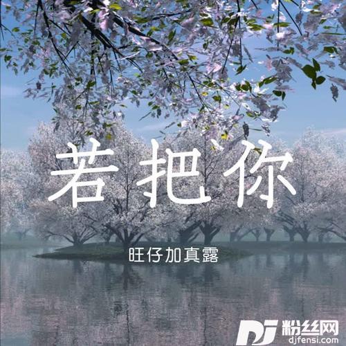若把你DJ版