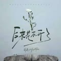 后来花不开了的专辑