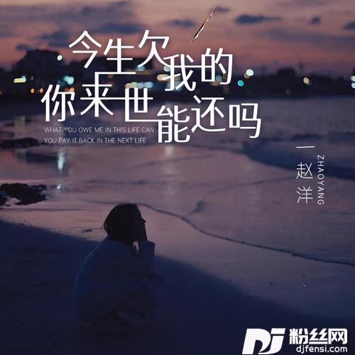 今生欠我的你来世能还吗的专辑图片