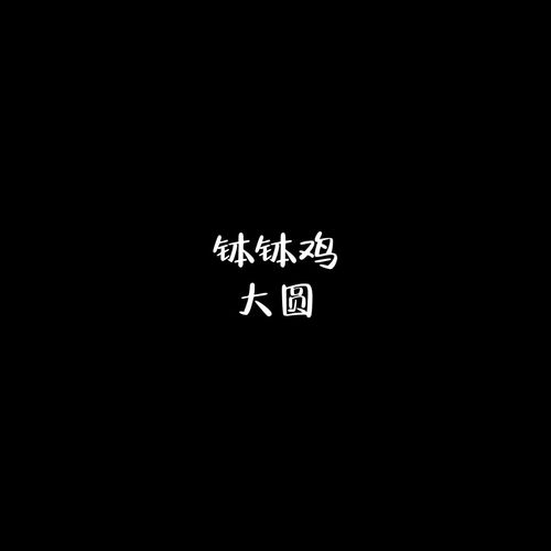 钵钵鸡DJ版的专辑