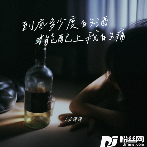 到底多少度的酒才能配上我的痛的专辑图片