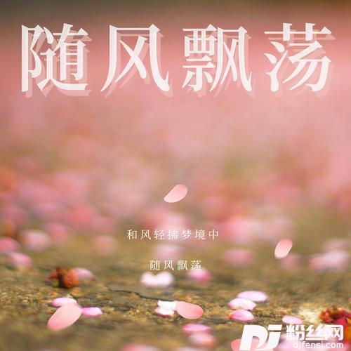 随风飘荡（DJ咚鼓版）的专辑图片