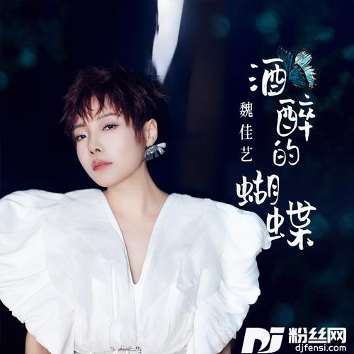 酒醉的蝴蝶的专辑图片