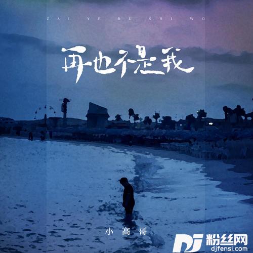 再也不是我的专辑